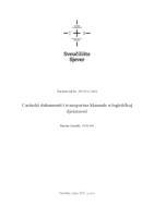 Carinski dokumenti i transportne klauzule u logističkoj djelatnosti