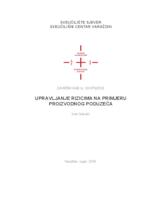 Upravljanje rizikom na primjeru proizvodnog poduzeća