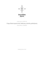 Uloga fizioterapeuta kod sindroma trkačke potkoljenice