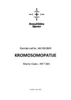 Kromosomopatije