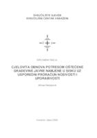 Cjelovita obnova potresom oštećene građevine javne namjene u Sisku uz usporedni proračun nosivosti i uporabivosti